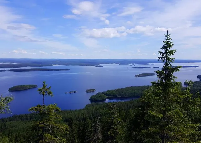 Lomakylae Timitraniemi Kemp *