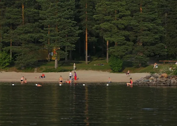 Lomakylae Timitraniemi Kemp *