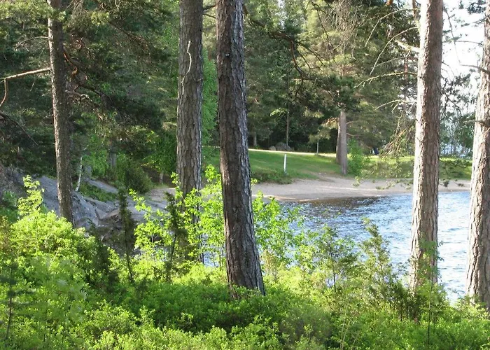 Lomakylae Timitraniemi Kemp *